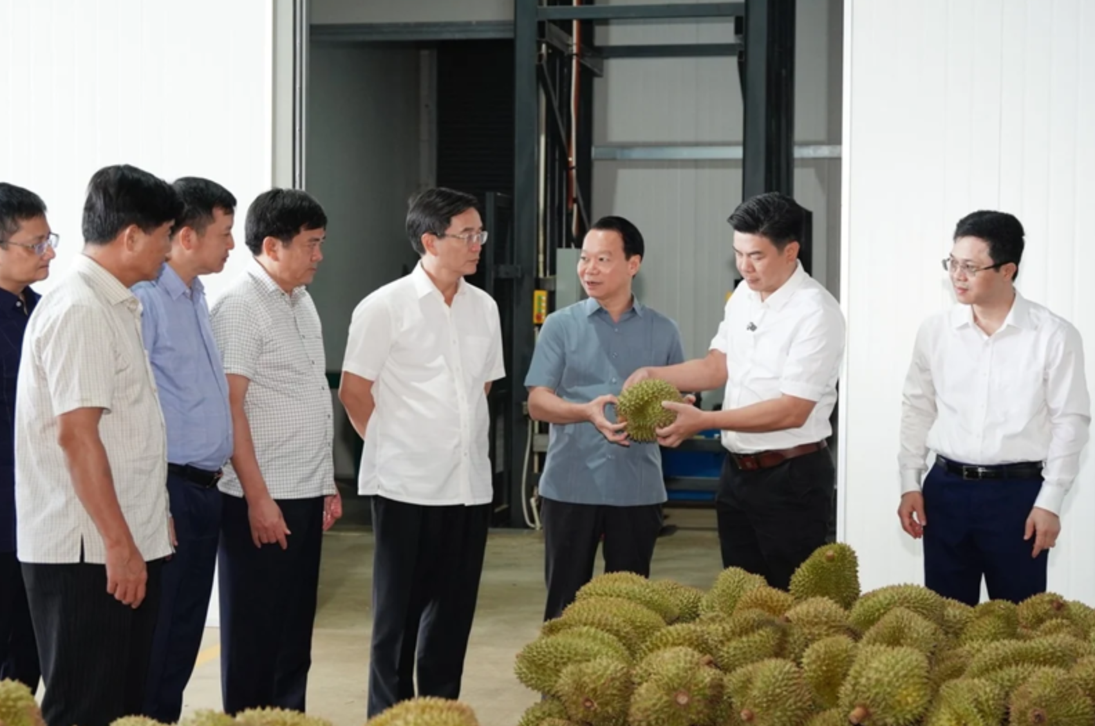 Upholding the quality of Vietnamese durian, targeting premium markets